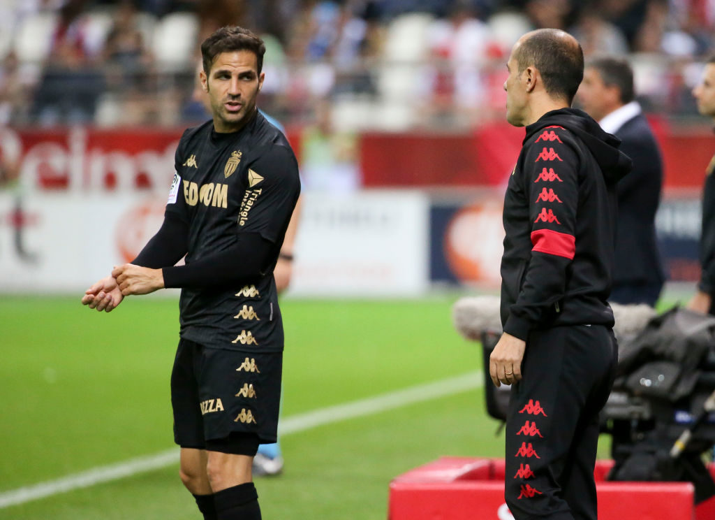 Cesc Fabregas