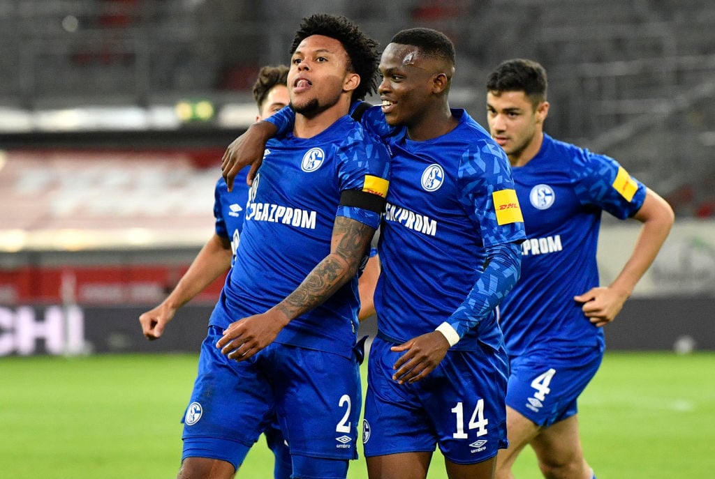 Weston McKennie celebrates scoring for Schalke 04.