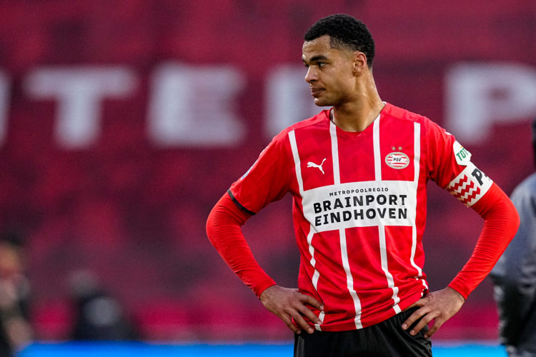 Photo by Geert van Erven/BSR Agency/Getty Images