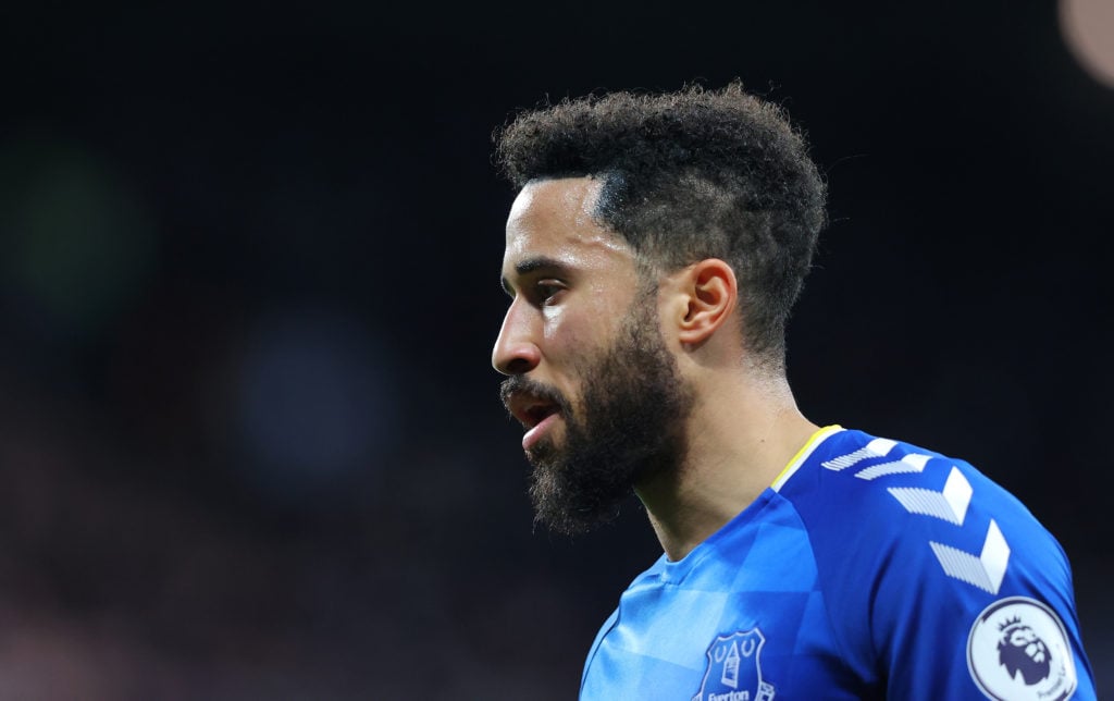Newcastle United v Everton - Premier League