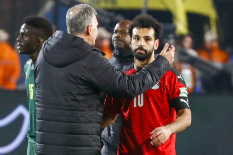 Photo by KHALED DESOUKI/AFP via Getty Images