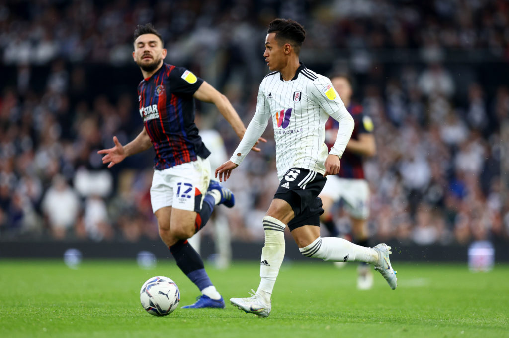 Fulham v Luton Town - Sky Bet Championship