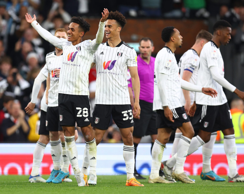 Fulham v Luton Town - Sky Bet Championship