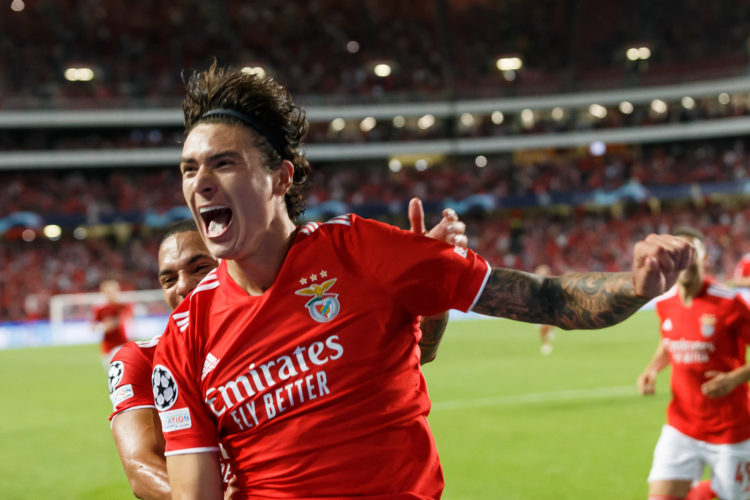 Photo by Joao Rico/DeFodi Images via Getty Images