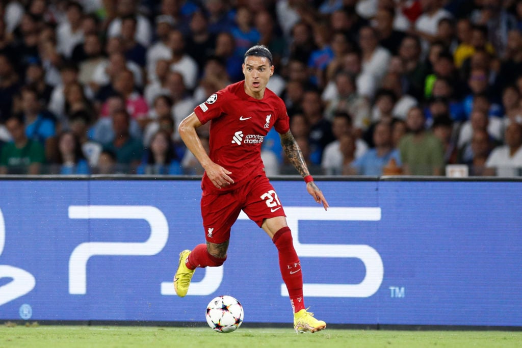 SSC Napoli v Liverpool FC: Group A - UEFA Champions League