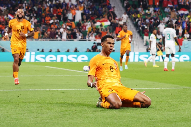Photo by Mark Metcalfe - FIFA/FIFA via Getty Images