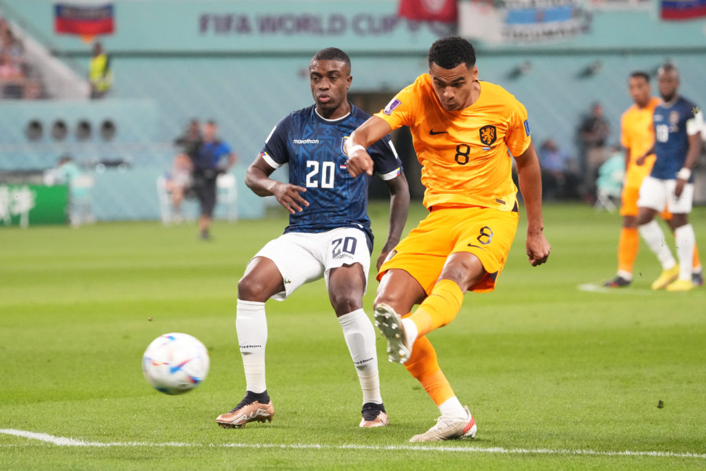 Netherlands v Ecuador: Group A - FIFA World Cup Qatar 2022