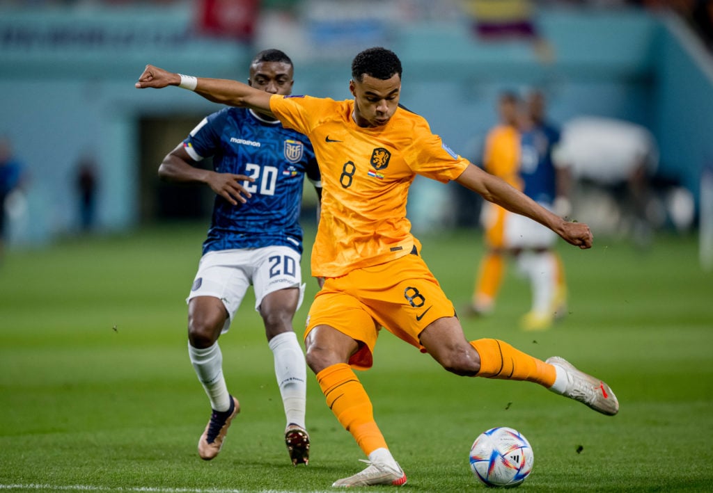 Netherlands v Ecuador: Group A - FIFA World Cup Qatar 2022
