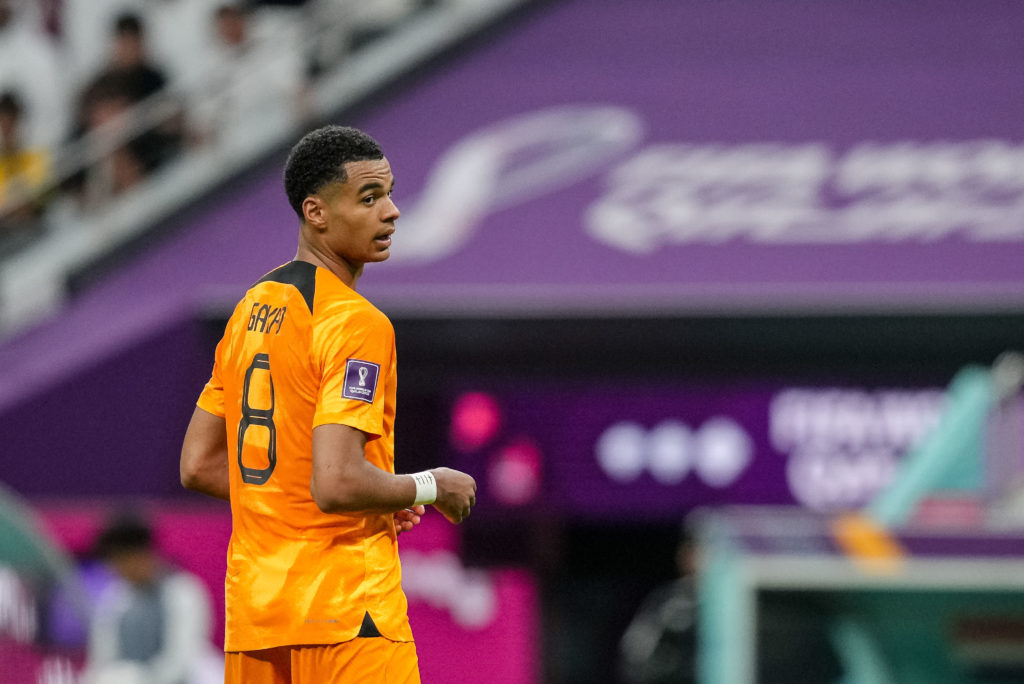 Netherlands v Qatar: Group A - FIFA World Cup Qatar 2022