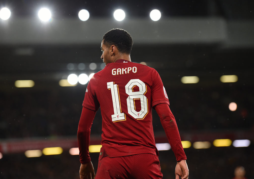 Liverpool v Wolverhampton Wanderers: Emirates FA Cup Third Round