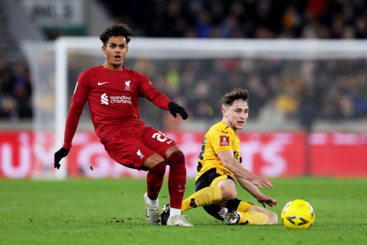 Photo by Jack Thomas - WWFC/Wolves via Getty Images