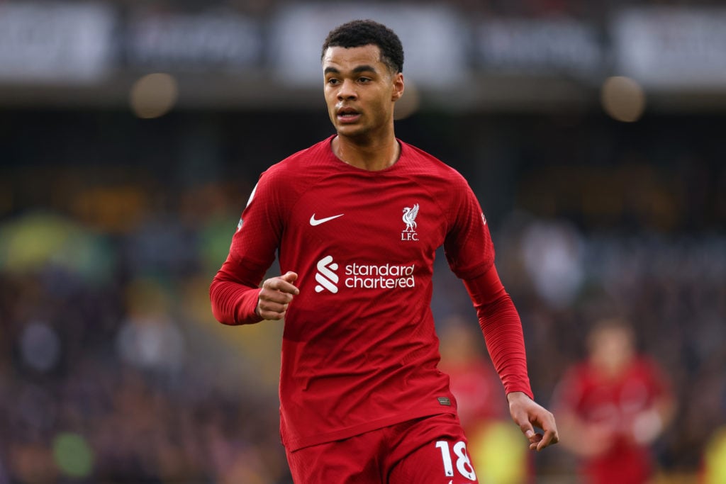 Wolverhampton Wanderers v Liverpool FC - Premier League
