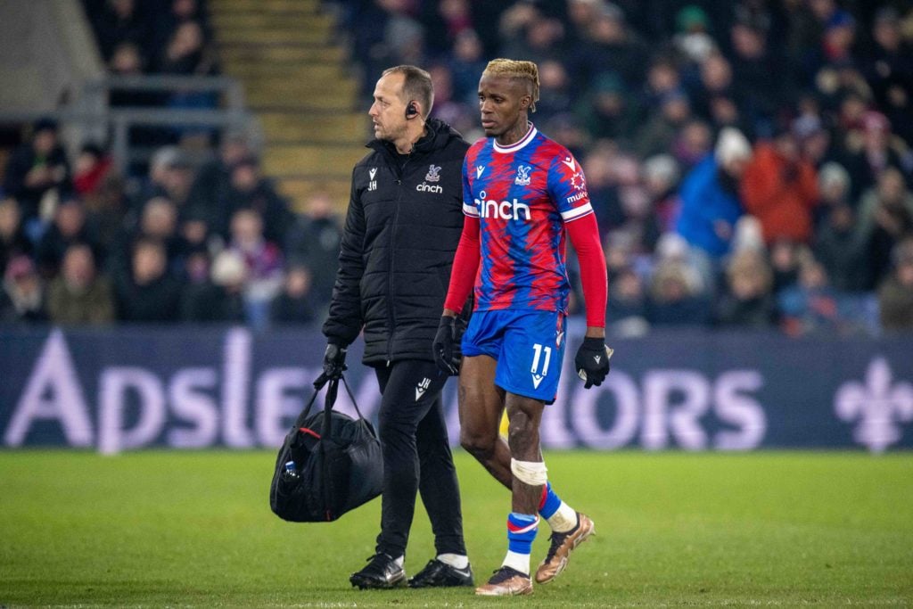 Crystal Palace v Newcastle United - Premier League