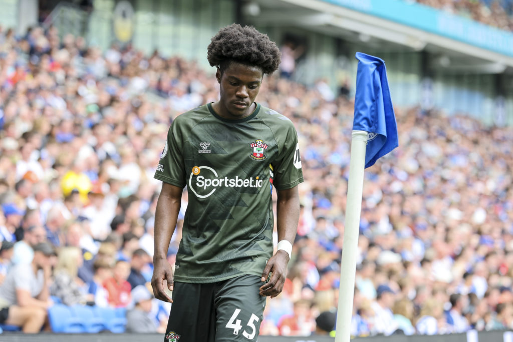 Brighton & Hove Albion v Southampton FC - Premier League