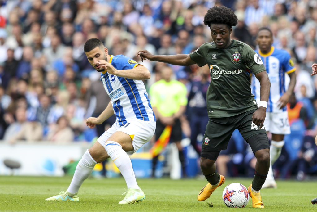 Brighton & Hove Albion v Southampton FC - Premier League