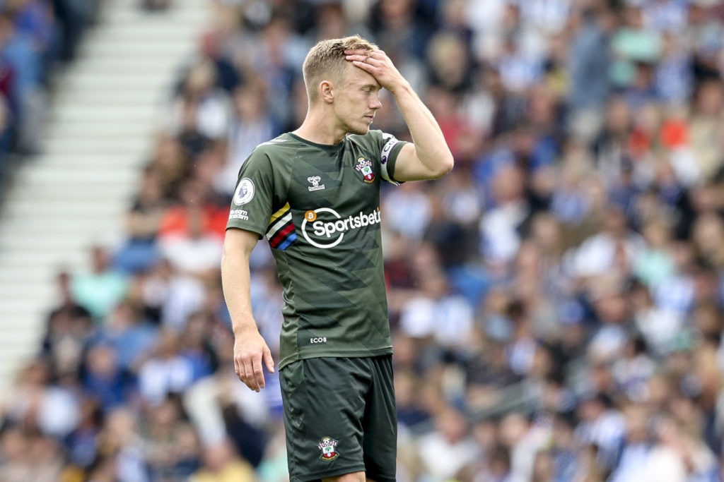 Brighton & Hove Albion v Southampton FC - Premier League