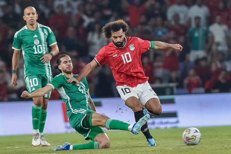 Photo by Waleed Zein/Anadolu via Getty Images