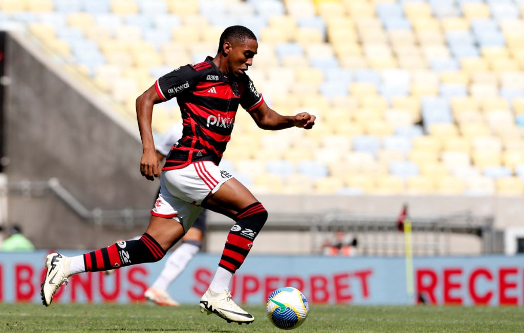 Flamengo v Botafogo - Brasileirao 2024
