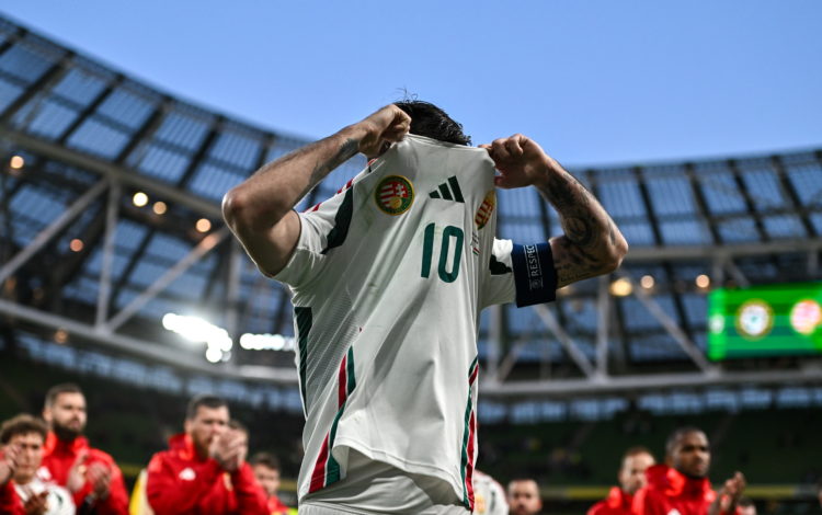 Photo By Ben McShane/Sportsfile via Getty Images