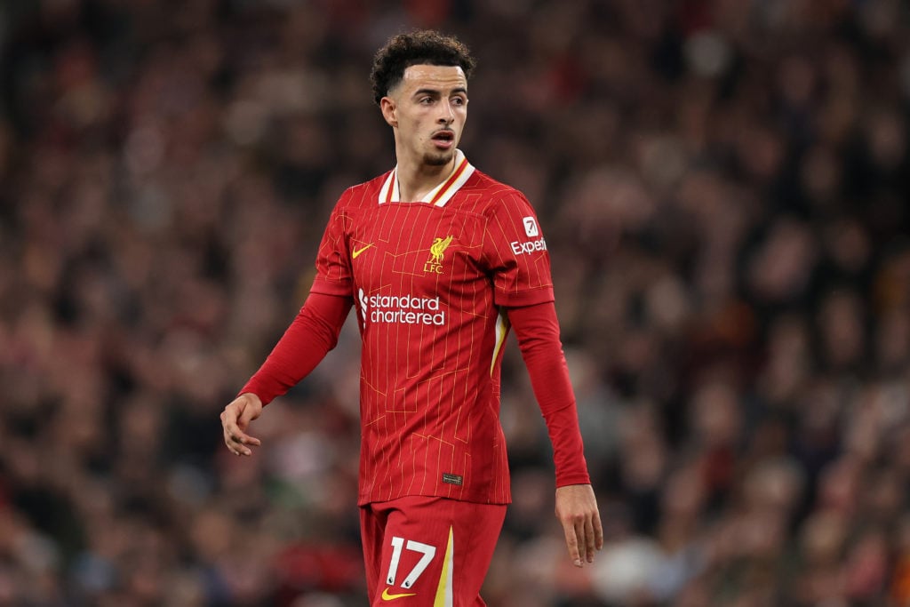 Liverpool FC v Brighton & Hove Albion FC - Premier League