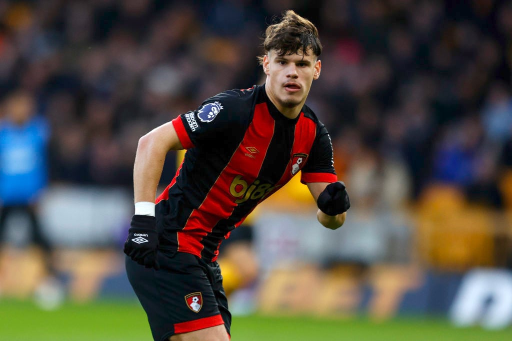 Wolverhampton Wanderers FC v AFC Bournemouth - Premier League