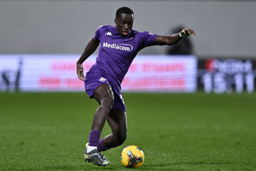 Fiorentina v Udinese - Serie A
