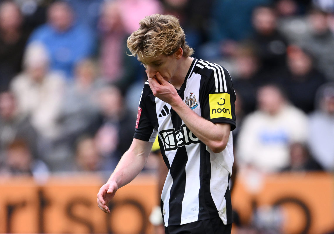 Photo by Stu Forster/Getty Images