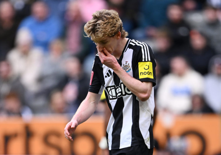 Photo by Stu Forster/Getty Images