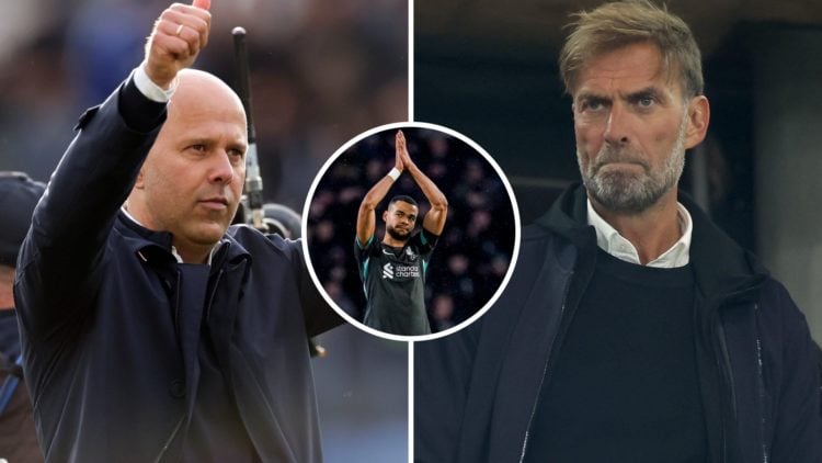 Split image showing Liverpool manager Arne Slot, former boss Jurgen Klopp, and winger Cody Gakpo