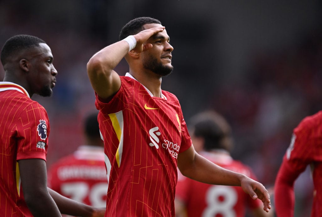 Cody Gakpo pictured celebrating his goal for Liverpool.
