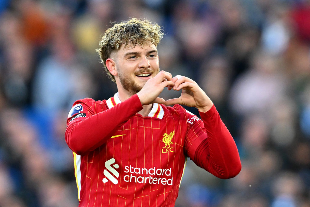 Harvey Elliott celebrates scoring for Liverpool against Brighton in the Premier League at the Amex Stadium.