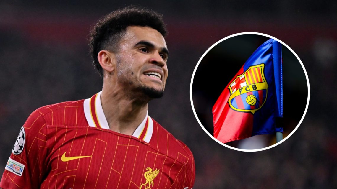 Luis Diaz features for Liverpool in the Champions League (left), close up of Barcelona flag (right)