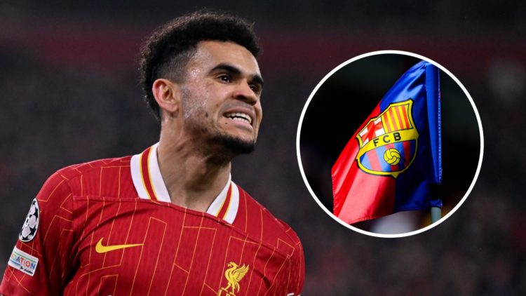 Luis Diaz features for Liverpool in the Champions League (left), close up of Barcelona flag (right)