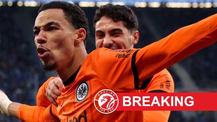 Hugo Ekitike celebrates after scoring for Eintracht Frankfurt in the Bundesliga match against Hoffenheim.