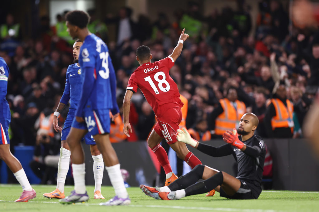Cody Gakpo celebrates Liverpool goal