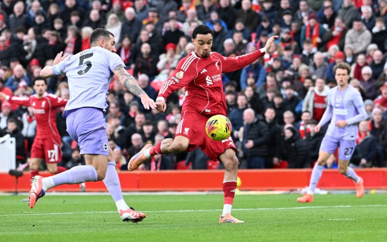 Topic image for: Liverpool vs Brighton