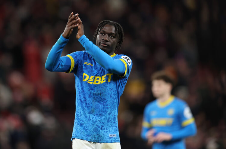 Photo by Brett Patzke - WWFC/Wolves via Getty Images