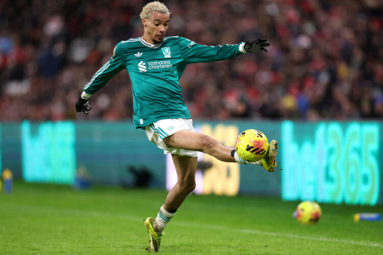 Photo by Stu Forster/Getty Images