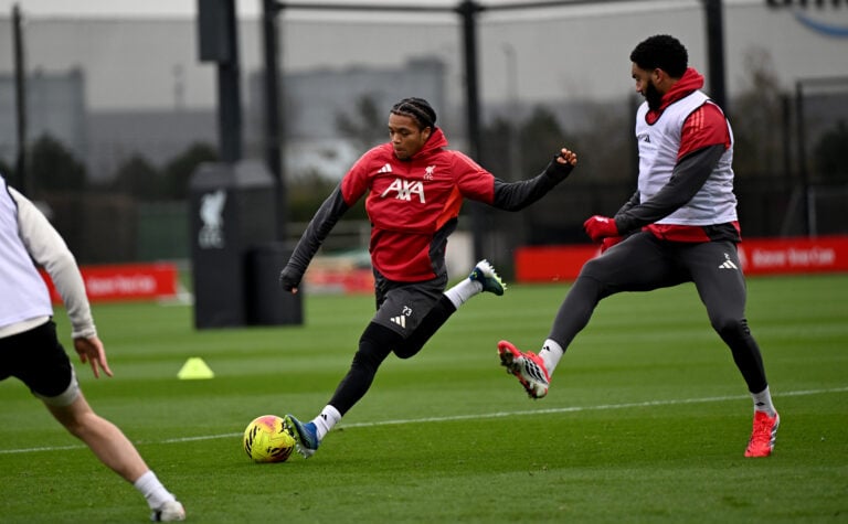 Topic image for: Liverpool academy