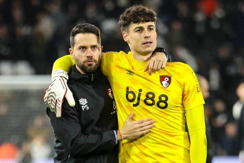 Fulham FC v AFC Bournemouth - Premier League